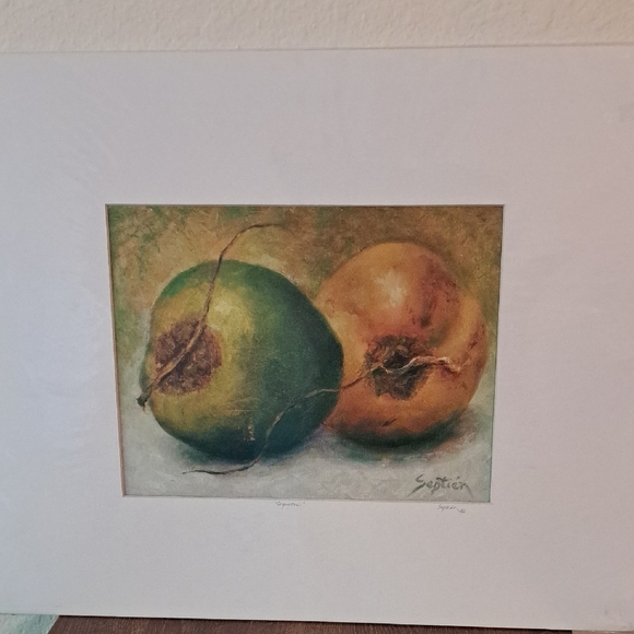 Coconuts Coquitos Art Giclee Print - Picture 2 of 5